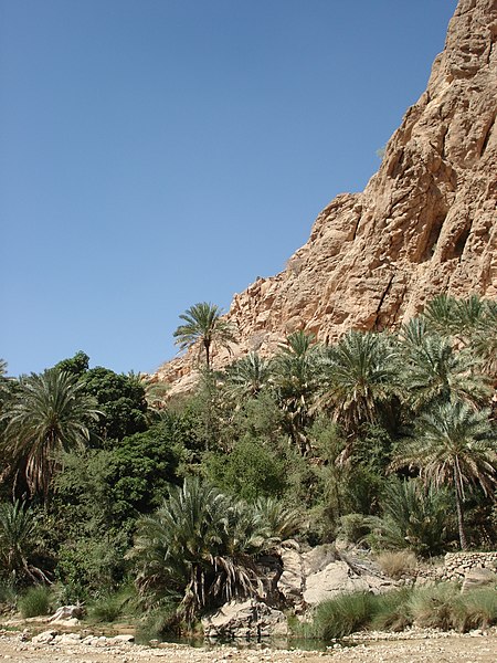 File:Wadi Bani Khalid17.jpg