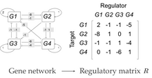 An example of a model of a gene network. The genes, G1 through G4, are modified by either inhibitory signals, represented by bars and negative coefficients, or excitatory signals, represented by arrows and positive coefficients. The interactions are represented numerically by the matrix on the right, R. WagnerModel.png