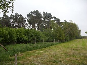 Wendesser Moor - 03.jpg