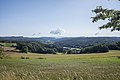 * Nomination Meadow at Wachstein in Franconian Switzerland --Plozessor 03:31, 22 October 2023 (UTC) * Promotion  Support Good quality. --MB-one 09:46, 27 October 2023 (UTC)