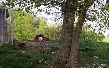 Парк дикой природы Мюлетали