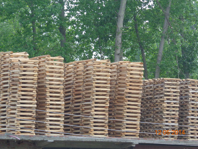 File:Willow plates for dry.JPG