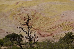 Yellow Rock near Cottonwood Canyon Road