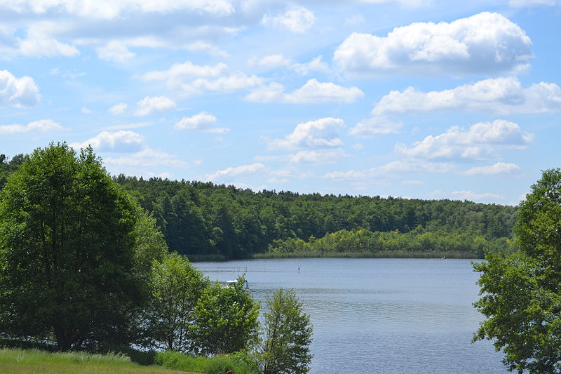 File:'Weisser Strand' am Flakensee in Woltersdorf Juni 2014 - 07.JPG