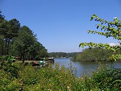 Étang d'Aureilhan dans les Landes (département) Aquitaine .- France