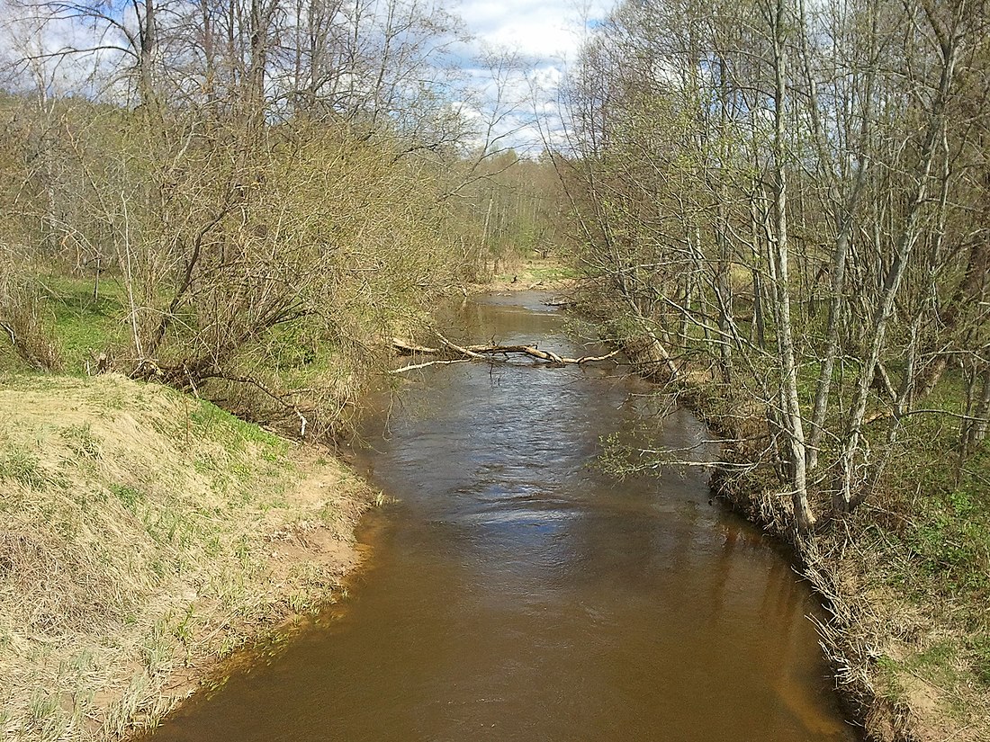 Laukesa (upė)