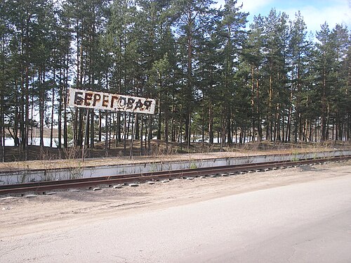 Ст береговой. Станция Береговая. Станция Береговая Новосибирск. Станция Береговая Полевской. Платформа Береговая Железнодорожный пути.