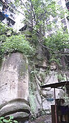 Old Buddha of Nanping