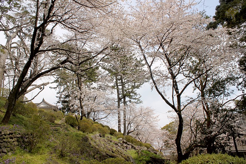 File:小田原城 - panoramio (3).jpg