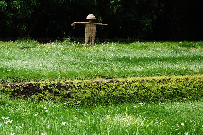 File:稻草人 Scarecrow - panoramio.jpg