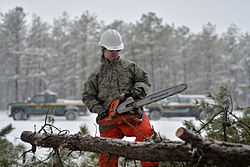 106th Civil Engineering Squadron conducts wildfire and storm debris removal training 150305-F-SV144-058