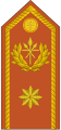 General de brigada (Armata Guineei Ecuatoriale)