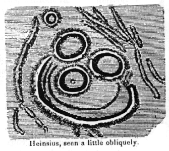 Esquema d'Heinsius dibuixat pel naturalista estatunidenc James Dwight Dana (1813-1895)