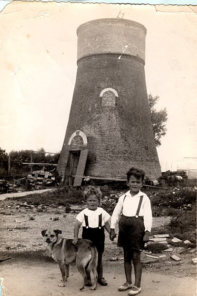 File:1933 Johannes en Jan voor de molen.jpg