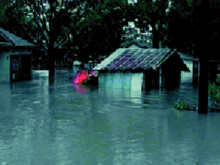 Flood damage in Southern Texas 1998 South Central Texas Flood 1.gif