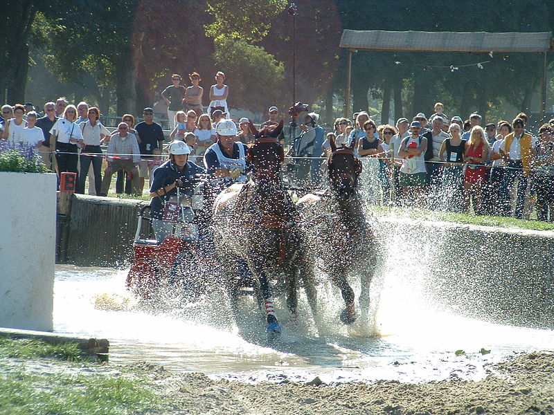 File:2003-World-Pairs-Driving-Championships-10.JPG