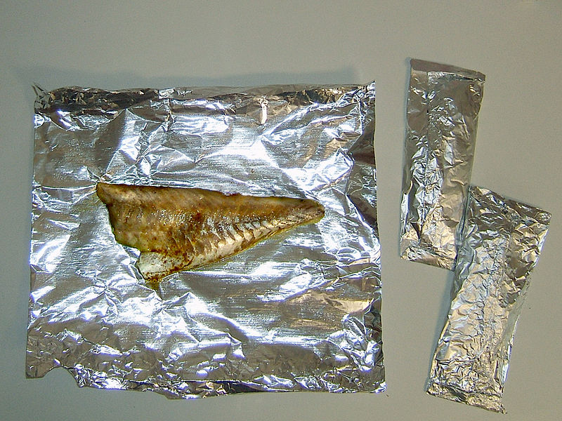 File:2008-08-05ExtremeCooking003.jpg