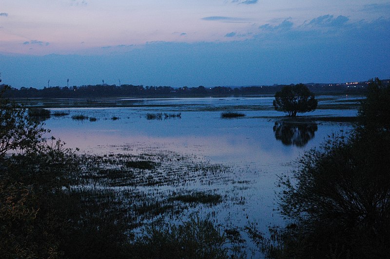 File:2011 Łomża, Narew - panoramio (10).jpg