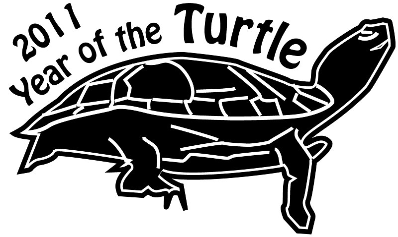 File:2011 Year of the Turtle (5863524614).jpg