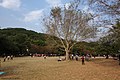2014年春节的莲花山公园 - panoramio.jpg