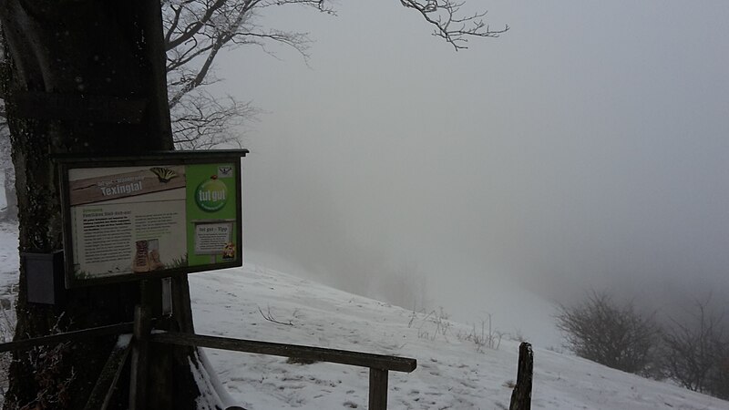 File:2017-02-12 Wanderung Haltgraben - Grüntalkogelhütte - Bichlberg - Fuß (30).jpg