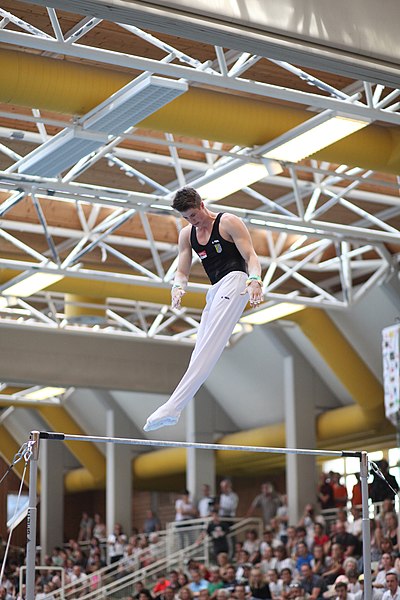 File:2018-Staatsmeister Reck Gingersalto Fabio Sereinig Kunstturnen Wolfurt.jpg