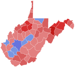 2020 West Virginia Treasurer Election Results.svg