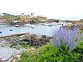 Le port de Pors Poulhan vu depuis les falaises côté Plouhinec.