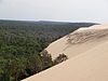 An enormous coastal dune towers over the forest of the Landes