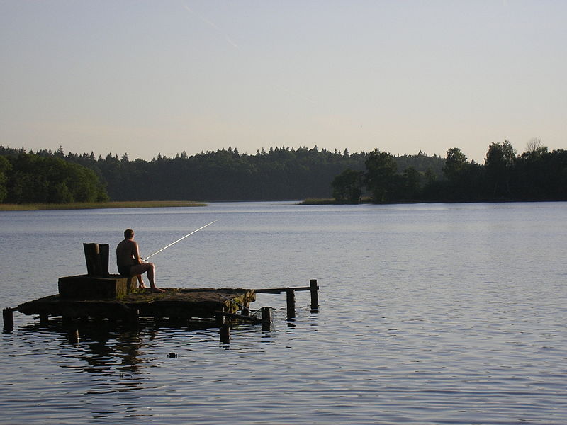File:A fisherman, Lithuania, lakes (7628650030).jpg
