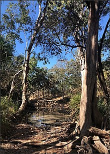 A turbid waterhole sustaining fish populations in the Bohle River, 2022 A turbid waterhole sustaining fish populations. Bohle River. Townsville, 2022.jpg