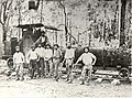 Vertical boilered steam engine on Kaituna Valley tramway 1868-1880