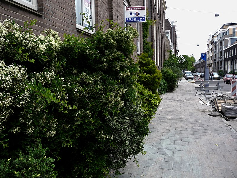 File:A view through the street Hoogte Kadijk, Amsterdam - photo is direction Sarphatistraat; high resolution image by FotoDutch, June 2013.jpg