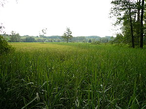 View of the nature reserve