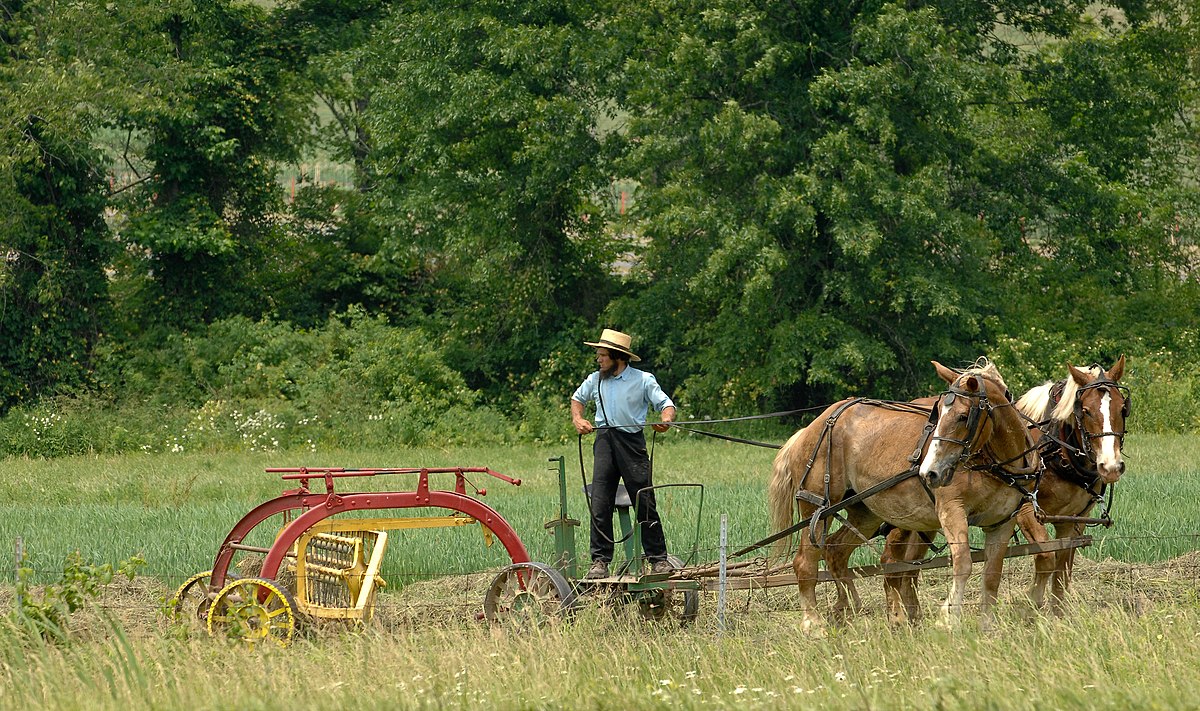 Amish man from one of the very plain 