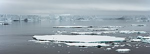 Thumbnail for Antarctic Sound