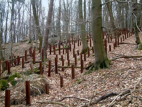 Anti-tank rails around casemate 9 of the Hochwald ditch