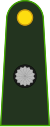 Argentina-Army-OF-(D).svg