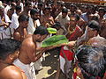 Atayalam kotukkal function of Muchilottu Bhagavathi theyyam performer at Muchilottu Bhagavathi Temple, Koovery