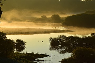 Jezioro Grand Lieu