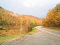 ألوان الخريف على طول الطريق