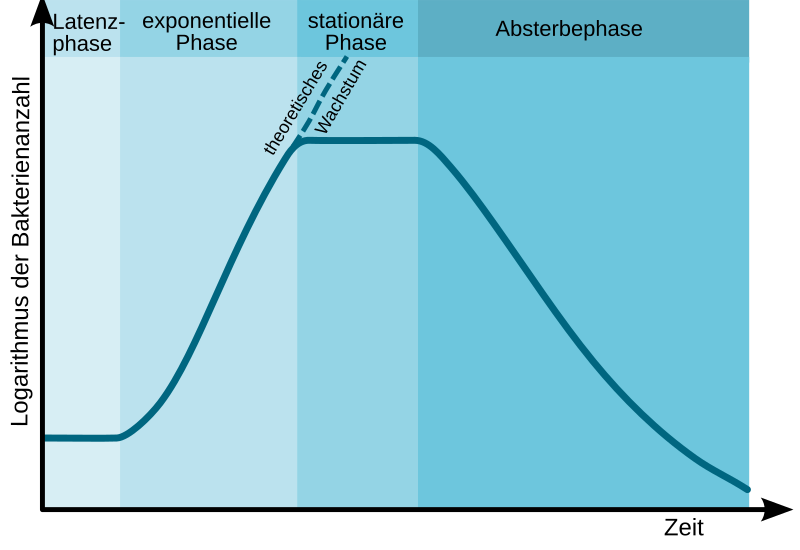 File:Bacterial growth curve de.svg