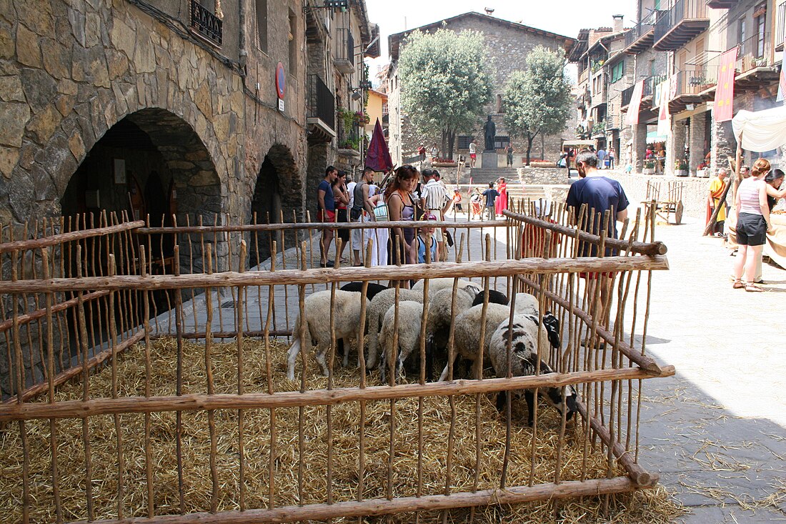 Plaça Galceran de Pinós (Bagà)