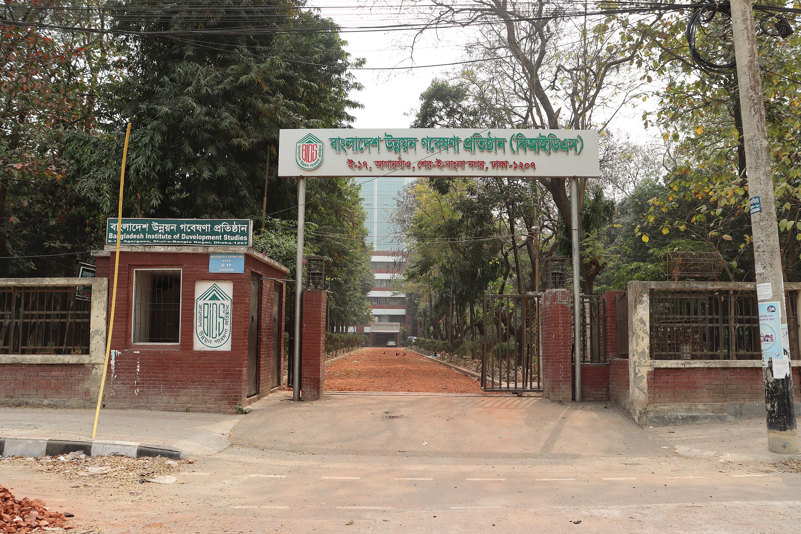 Bangladesh Institute of Development Studies Bids: Pioneering Growth