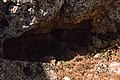 Bashmishli (باشمشلي), Syria - Detail of rock recess - PHBZ024 2016 4304 - Dumbarton Oaks.jpg