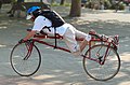 English: prone recumbent Deutsch: Bauchlieger