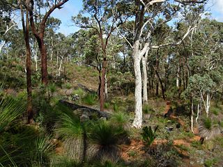<span class="mw-page-title-main">Beelu National Park</span> Protected area in Western Australia