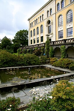 bergen tourist guide