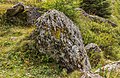 * Nomination Mountain trip from Alp Farur (1940 meter) via Stelli (2383 meter) to Gürgaletsch (2560 meter). Beautiful biotope. --Agnes Monkelbaan 05:11, 11 October 2017 (UTC) * Promotion  Support Good quality. -- Johann Jaritz 05:22, 11 October 2017 (UTC)