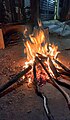 File:Bhogi Festival.jpg